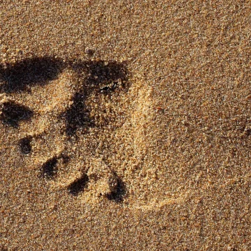 Petjada 27 de novembre – Jornada: Harmonia entre la mort i la vida a les tradicions religioses
